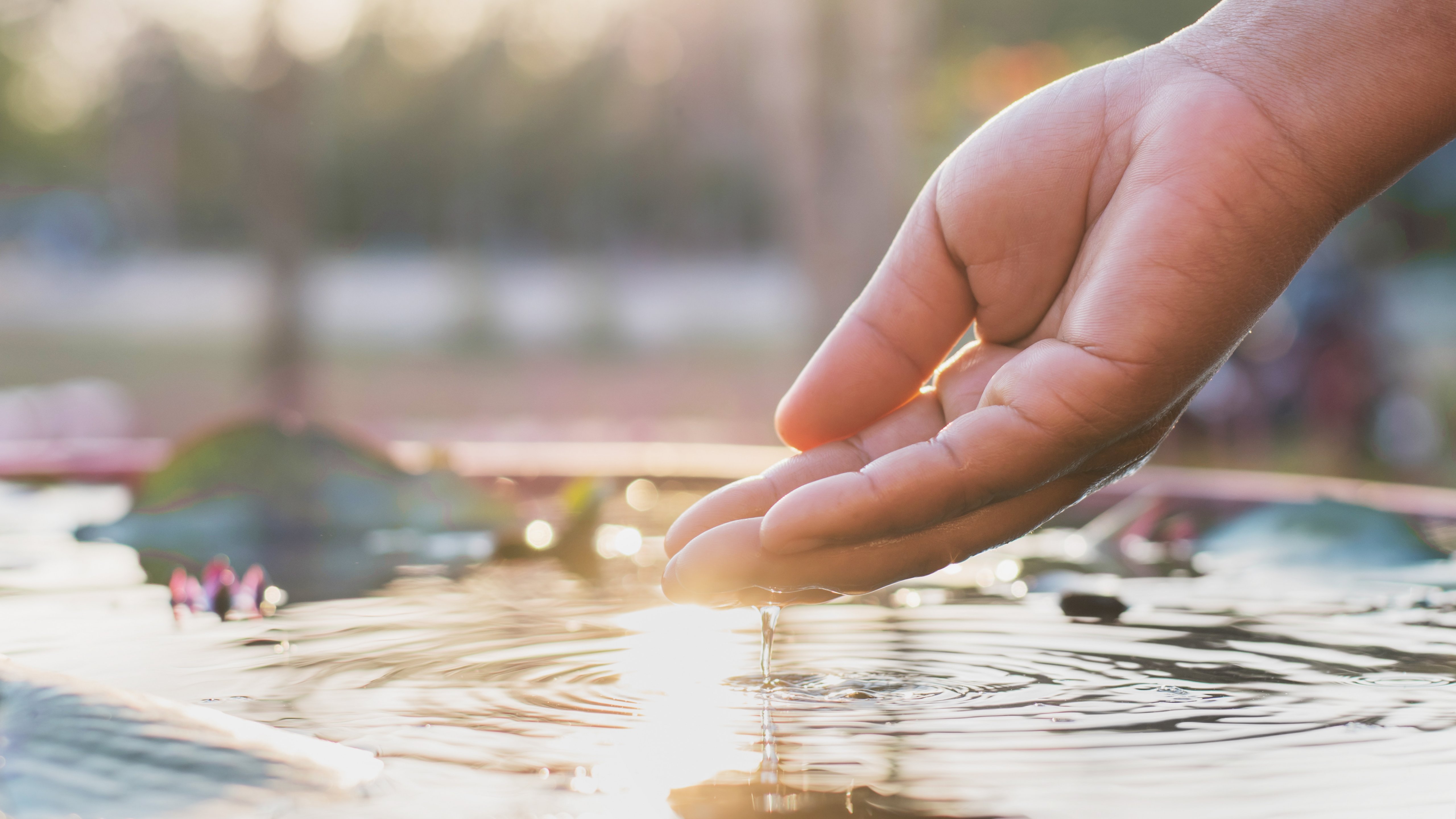 hand and water with sunset